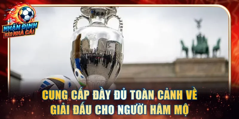 Cung cấp đầy đủ toàn cảnh về giải đấu cho người hâm mộ